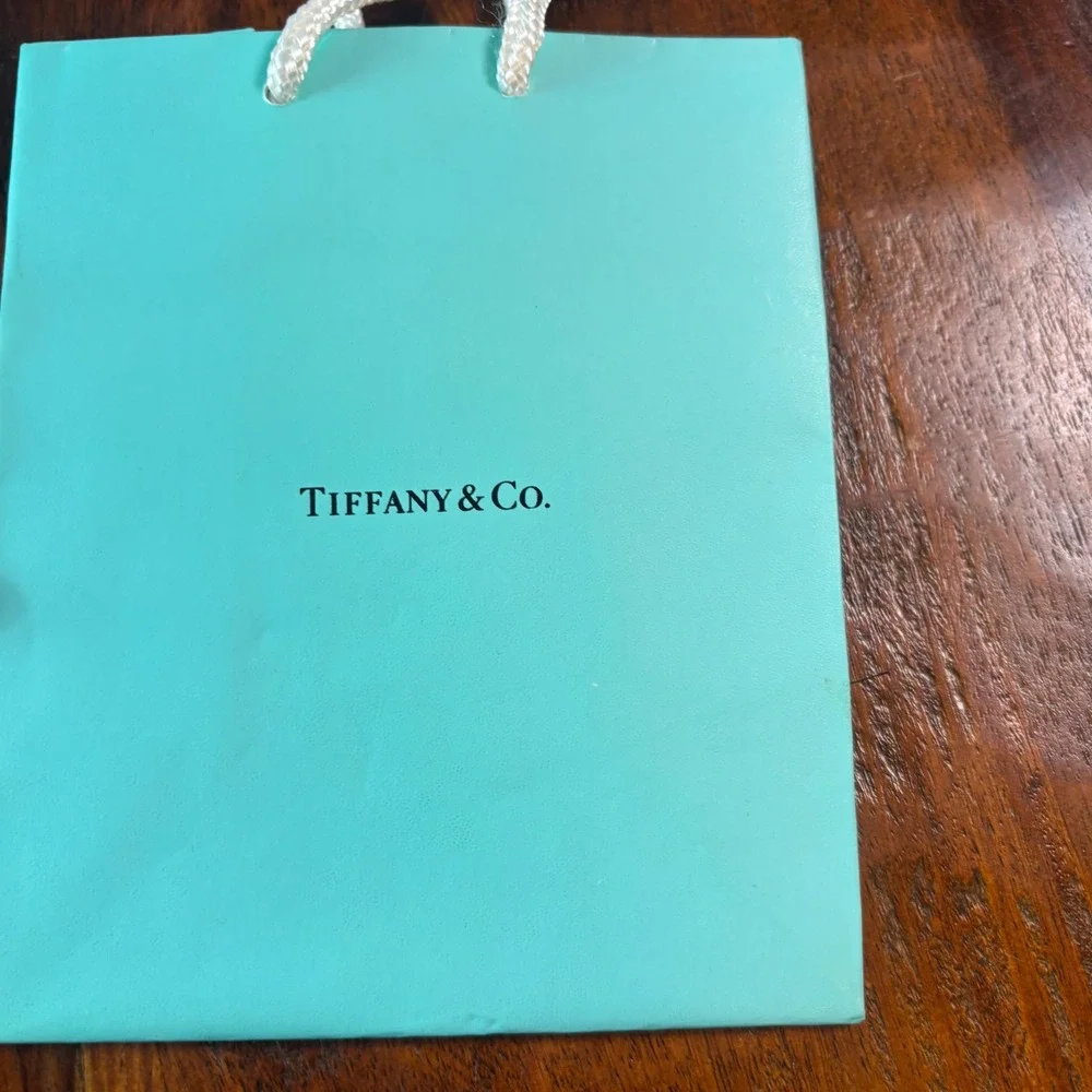 Tiffany & Co Mini Shopping Gift Bags Set of 4 Tiffany Blue Rope Handle Small